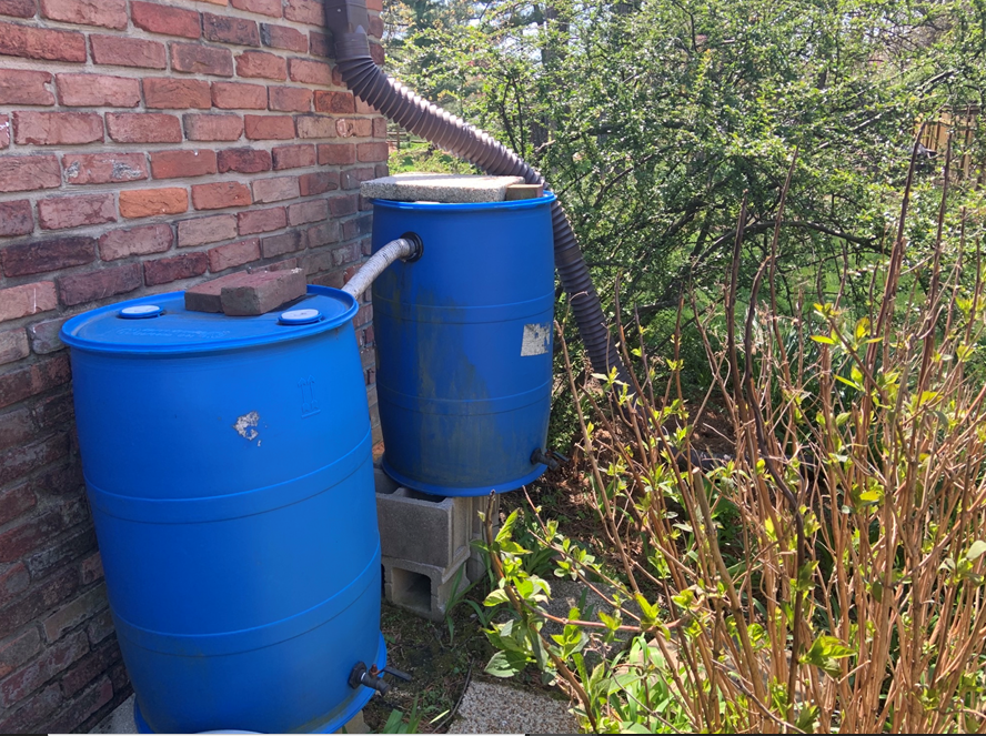 DIY homemade sustainability project rain barrels at gutter downspouts