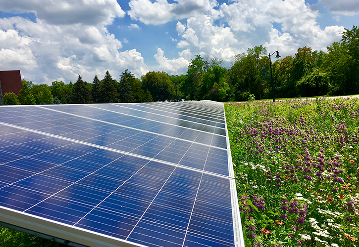 University of Dayton Solar Prairie Garden by Melink Solar